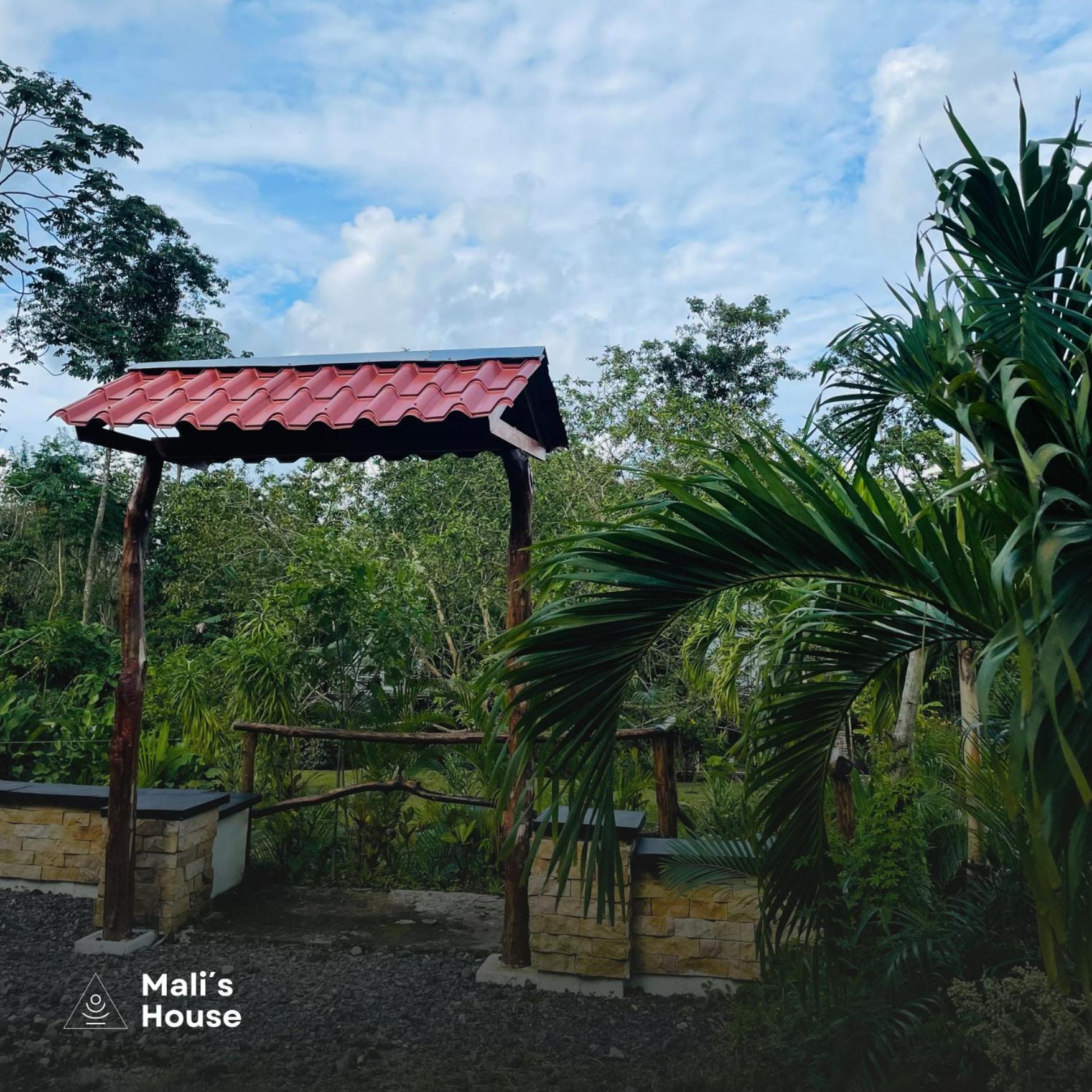 Mali'S House Hotel La Fortuna Buitenkant foto