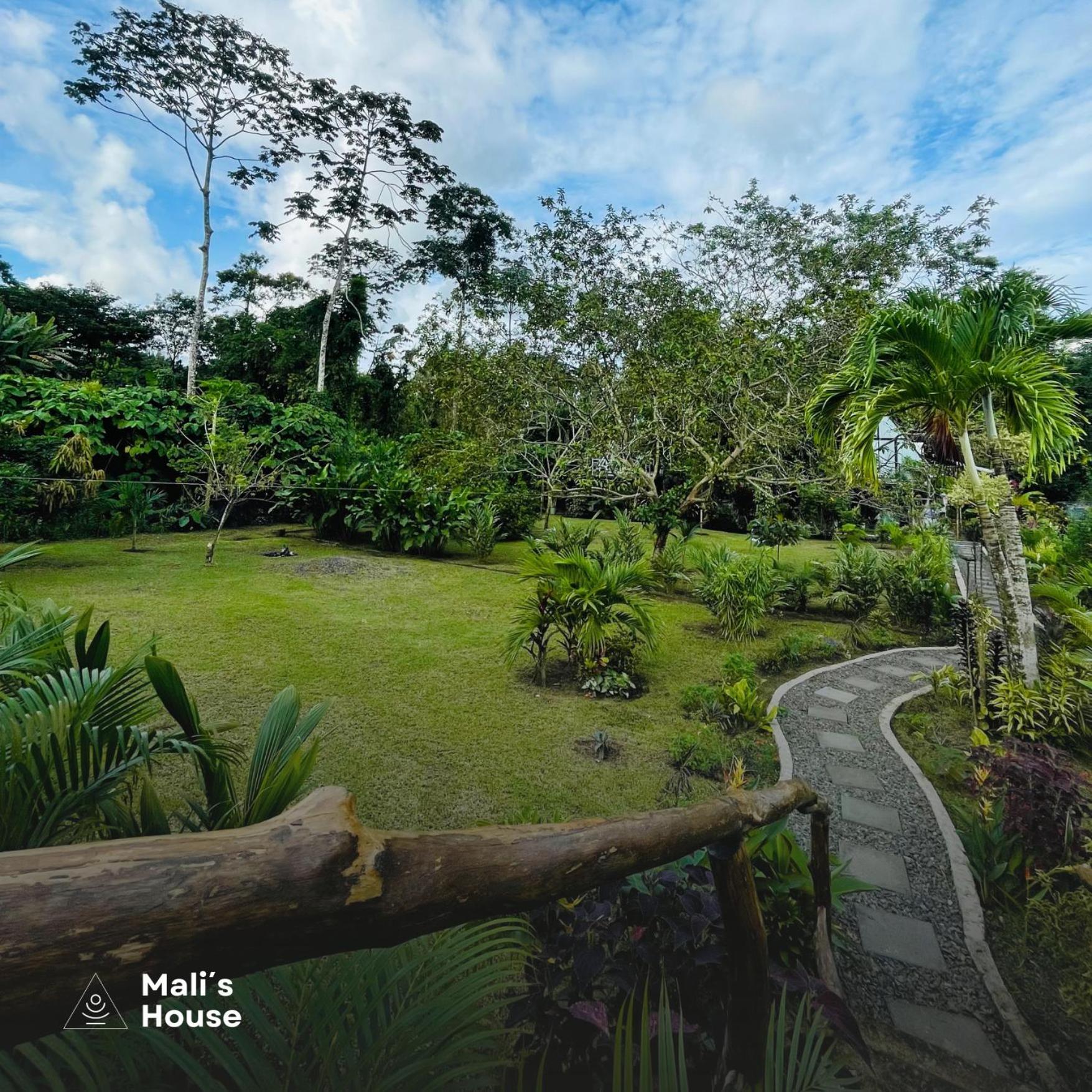 Mali'S House Hotel La Fortuna Buitenkant foto